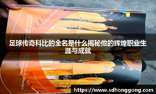 zoty中欧官方网站